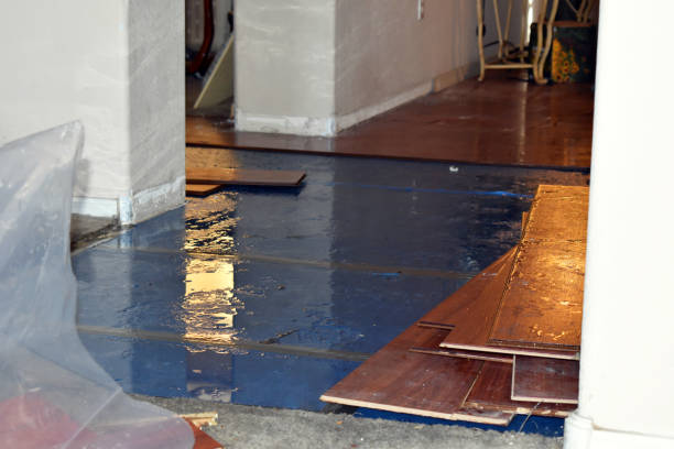 Professional Burst Pipe Cleanup technician working in Valencia, CA